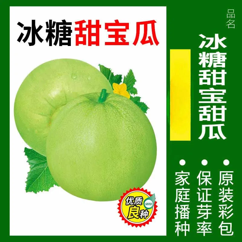 Vegetable Seeds | 10 Grams Per Bag