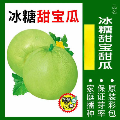 Vegetable Seeds | 10 Grams Per Bag