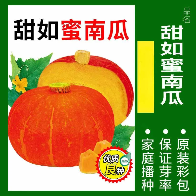 Vegetable Seeds | 10 Grams Per Bag