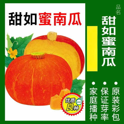 Vegetable Seeds | 10 Grams Per Bag