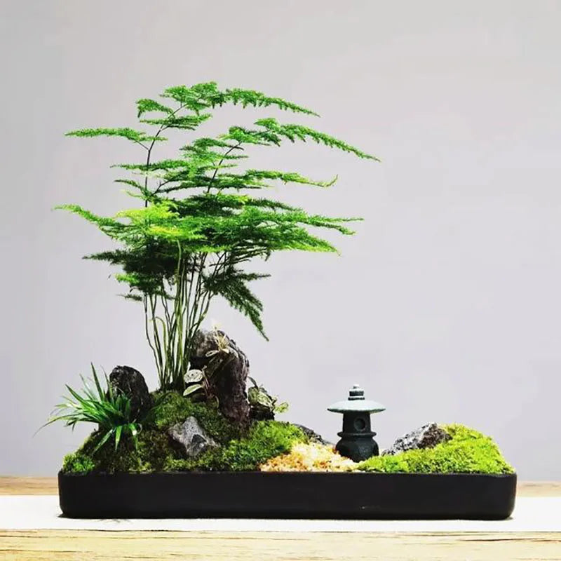 Bonsai flowers Seeds | 10 Grams Per Bag