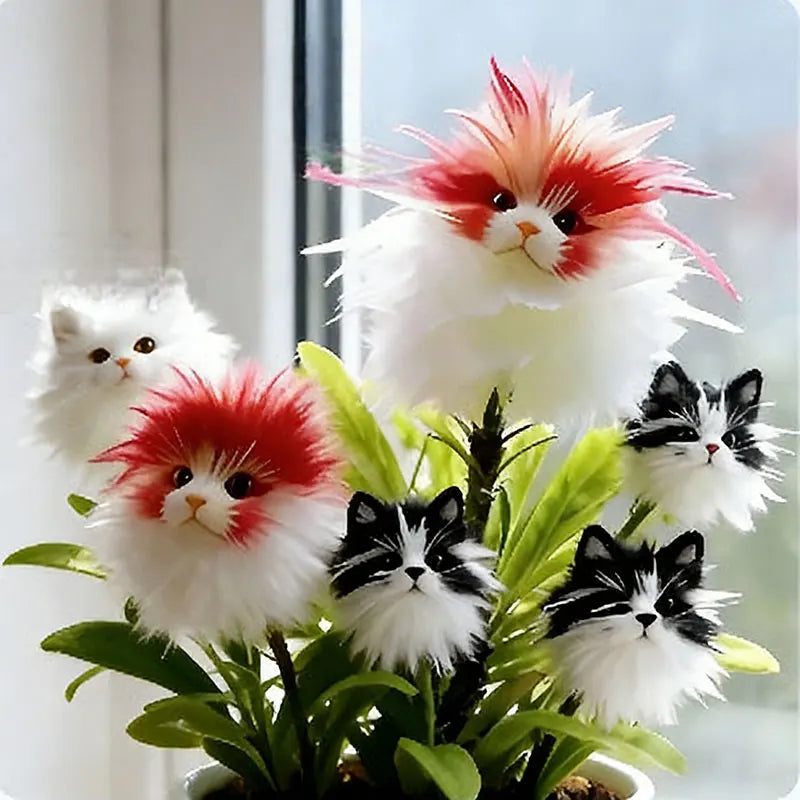 Face cat orchid Seeds | 550pcs Per Bag