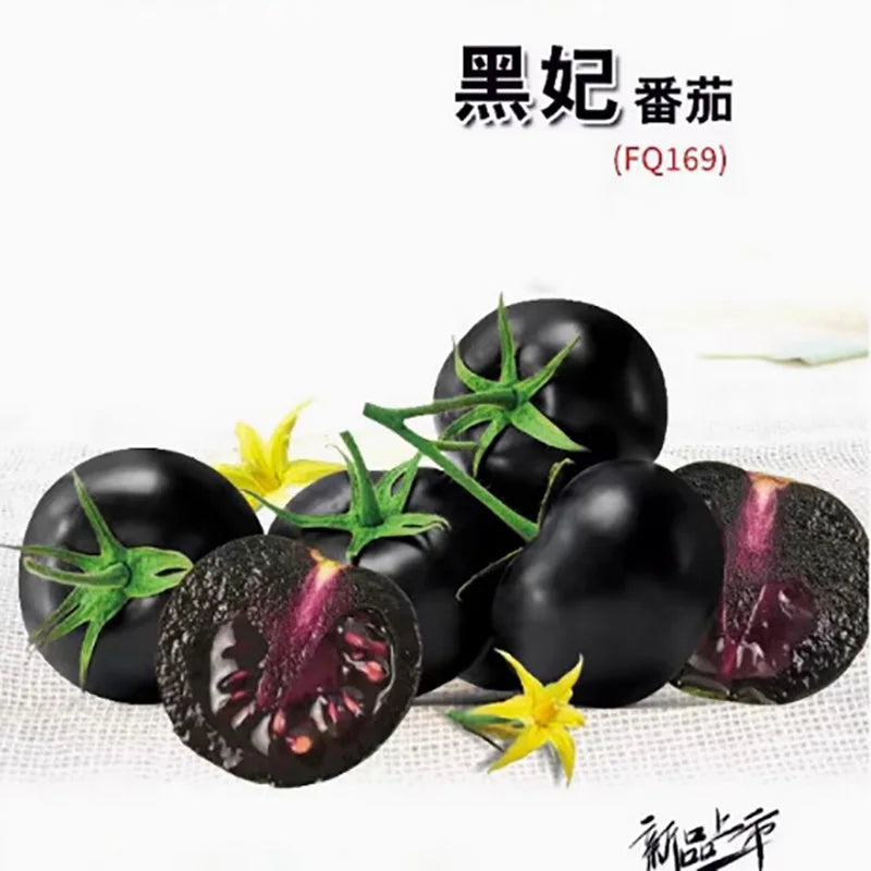 Tomato Seeds | 100pcs Per Bag