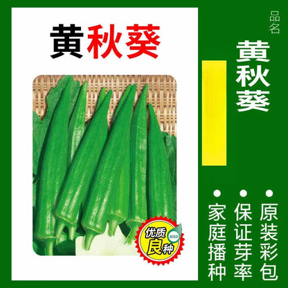 Vegetable Seeds | 10 Grams Per Bag