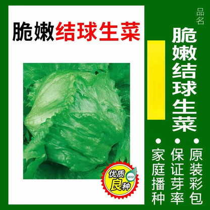 Vegetable Seeds | 10 Grams Per Bag