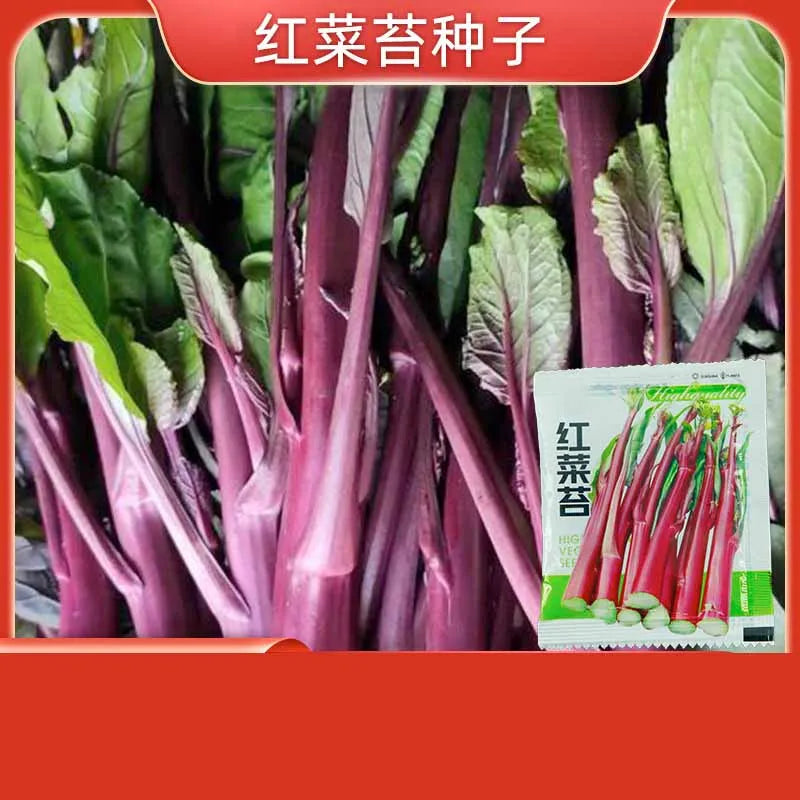 Vegetable Seeds | 10 Grams Per Bag