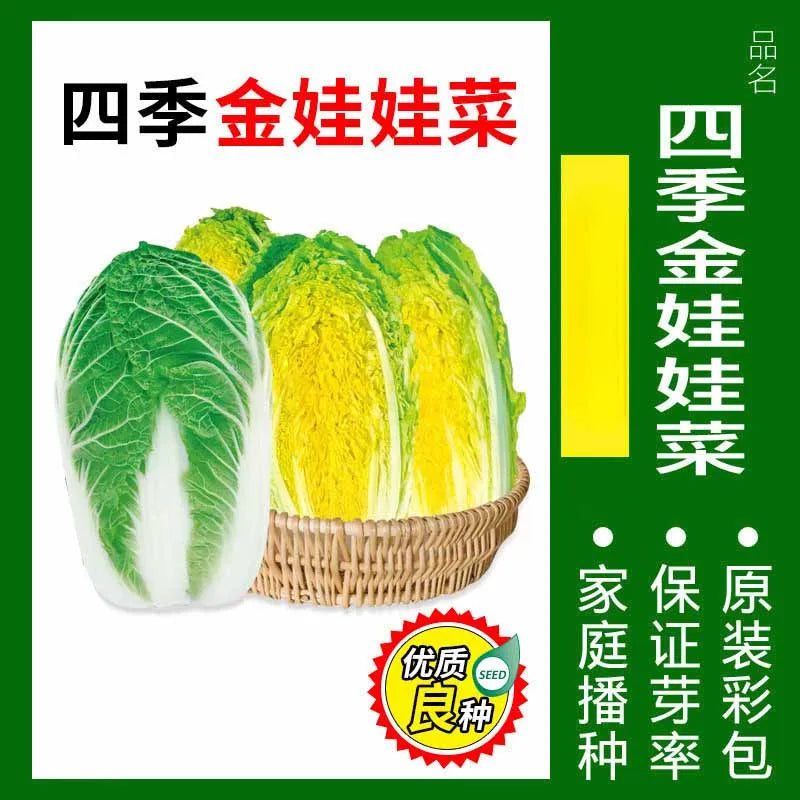 Vegetable Seeds | 10 Grams Per Bag