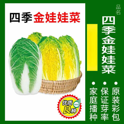 Vegetable Seeds | 10 Grams Per Bag