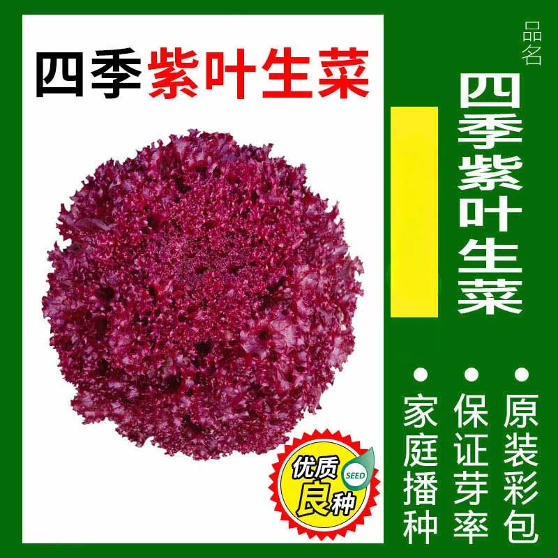 Vegetable Seeds | 10 Grams Per Bag