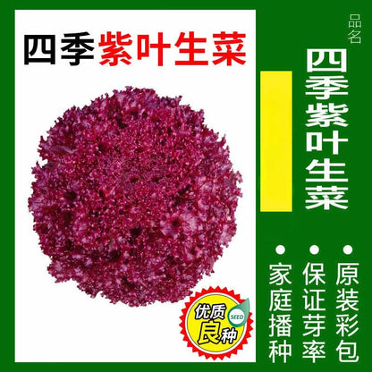 Vegetable Seeds | 10 Grams Per Bag