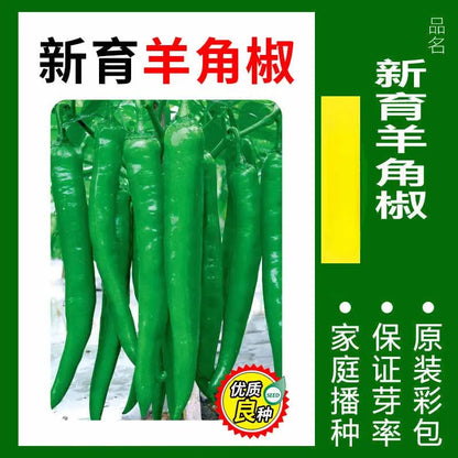 Vegetable Seeds | 10 Grams Per Bag