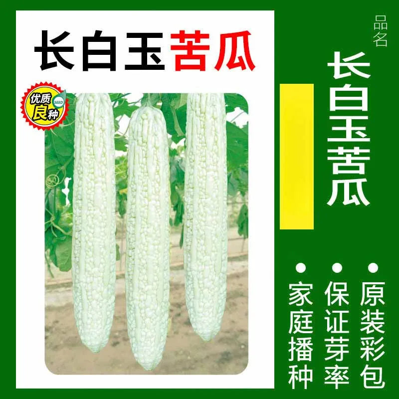 Vegetable Seeds | 10 Grams Per Bag