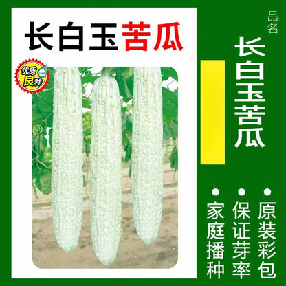 Vegetable Seeds | 10 Grams Per Bag