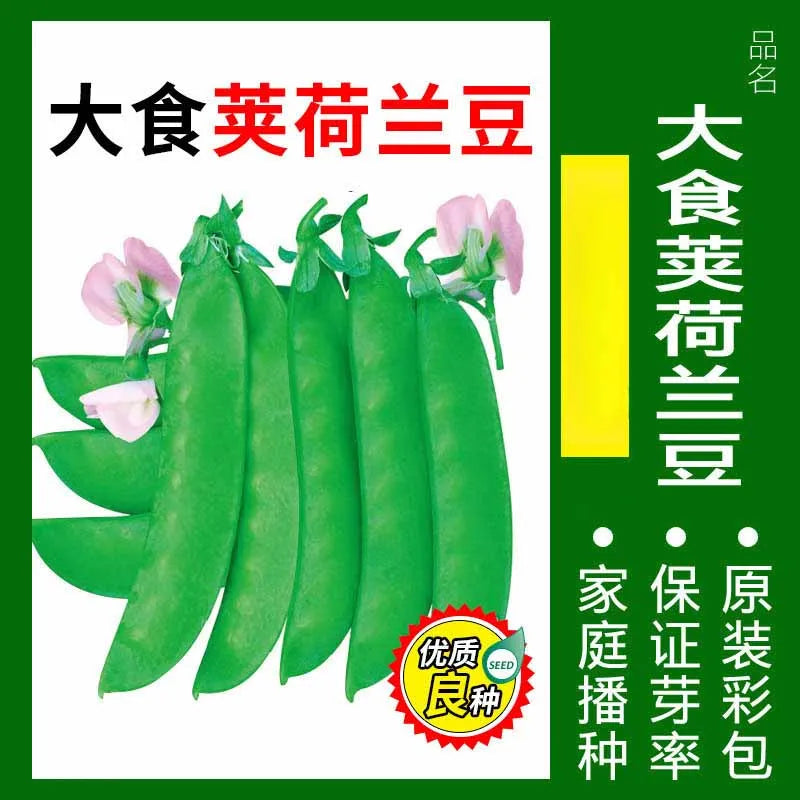 Vegetable Seeds | 10 Grams Per Bag