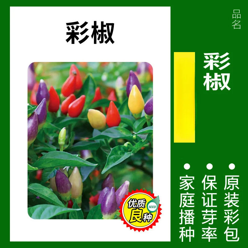 Vegetable Seeds | 10 Grams Per Bag