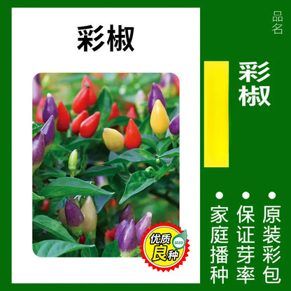 Vegetable Seeds | 10 Grams Per Bag