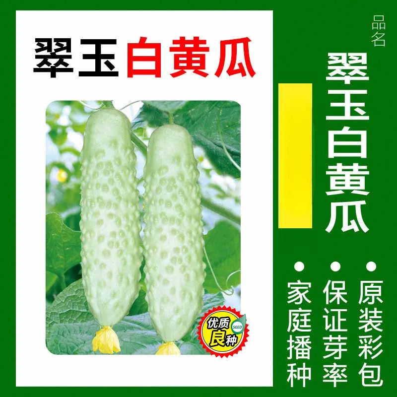 Vegetable Seeds | 10 Grams Per Bag