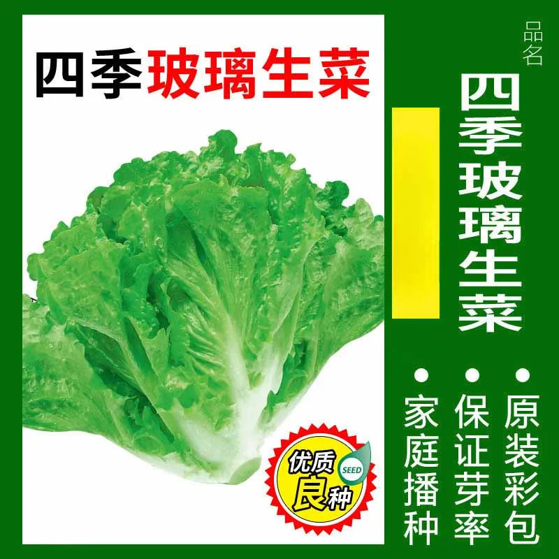 Vegetable Seeds | 10 Grams Per Bag