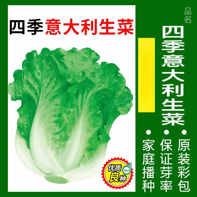 Vegetable Seeds | 10 Grams Per Bag