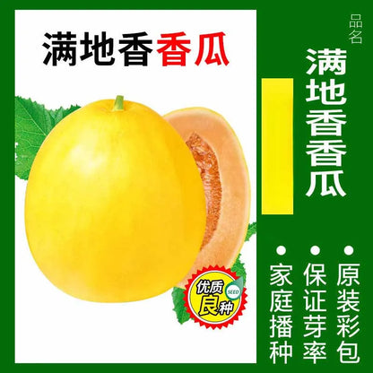 Vegetable Seeds | 10 Grams Per Bag