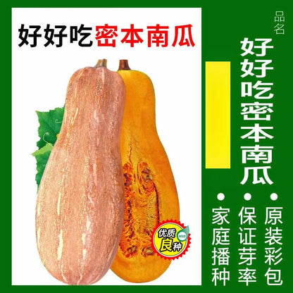 Vegetable Seeds | 10 Grams Per Bag