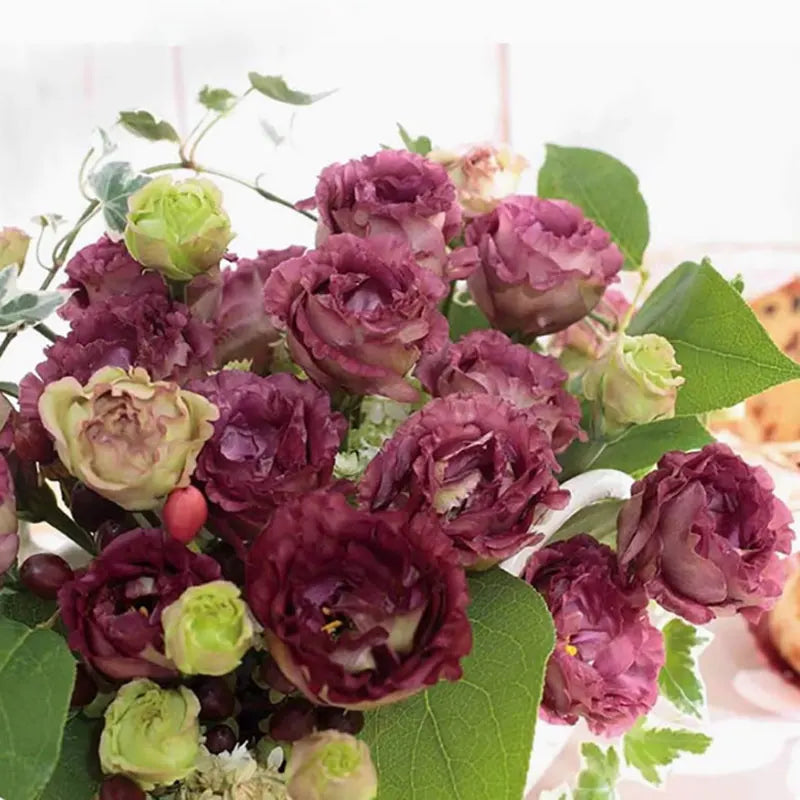 Eustoma grandiflorum Seeds | 1000pcs Per Bag