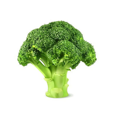 Vegetable Seeds | 10 Grams Per Bag