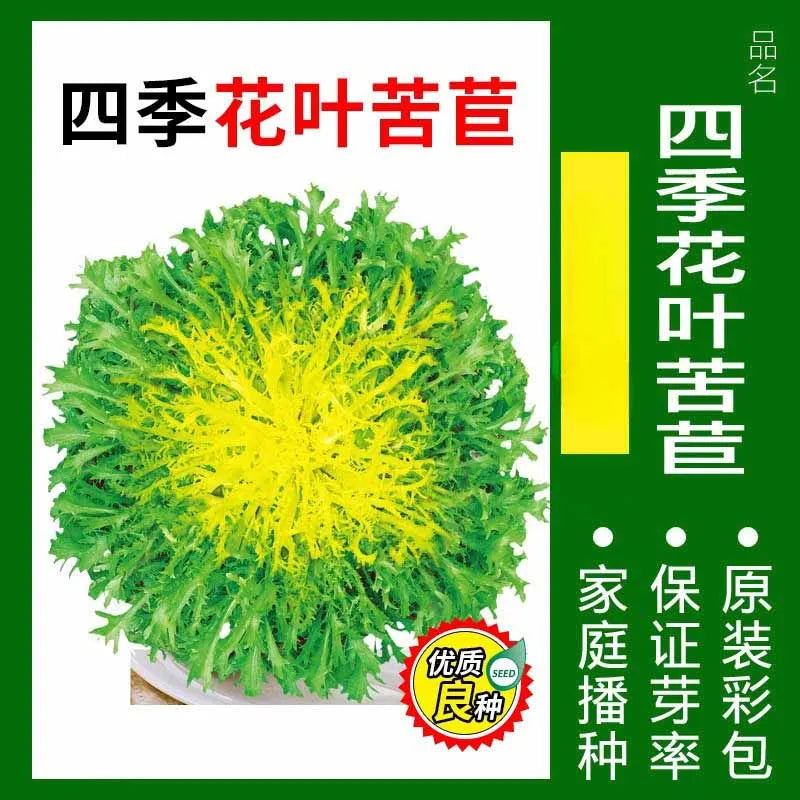 Vegetable Seeds | 10 Grams Per Bag