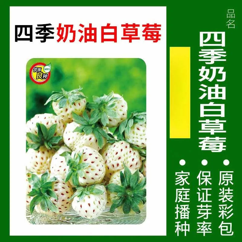 Vegetable Seeds | 10 Grams Per Bag