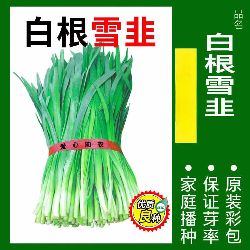 Vegetable Seeds | 10 Grams Per Bag