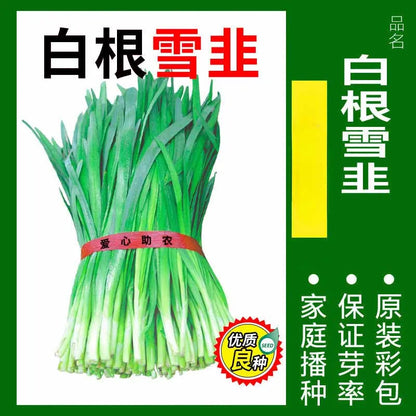 Vegetable Seeds | 10 Grams Per Bag