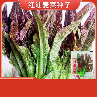 Vegetable Seeds | 10 Grams Per Bag