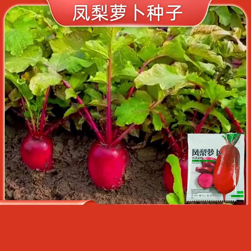 Vegetable Seeds | 10 Grams Per Bag