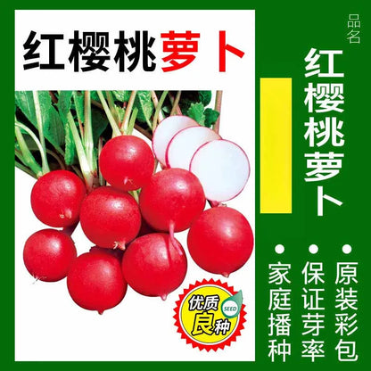 Vegetable Seeds | 10 Grams Per Bag