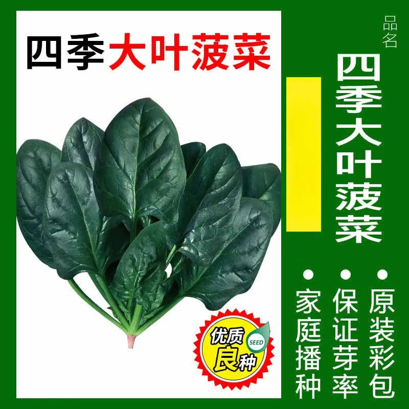 Vegetable Seeds | 10 Grams Per Bag