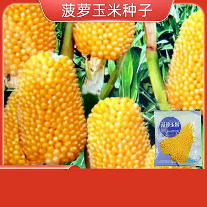 Vegetable Seeds | 10 Grams Per Bag