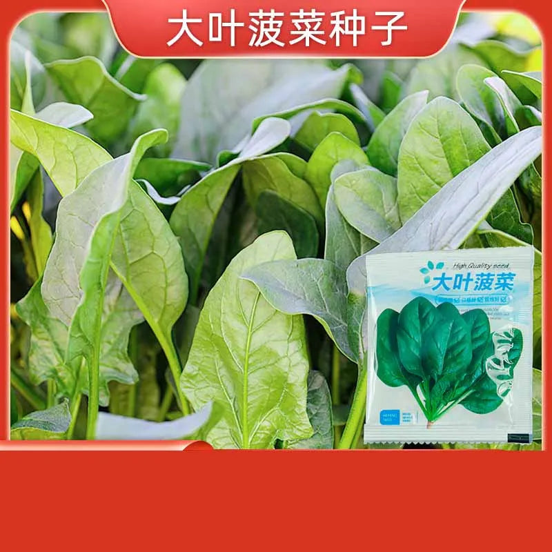 Vegetable Seeds | 10 Grams Per Bag
