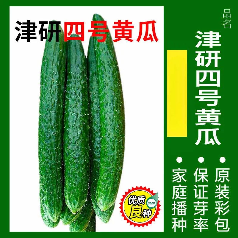 Vegetable Seeds | 10 Grams Per Bag