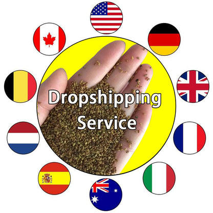 Seed | Dropshipping Service Worldwide