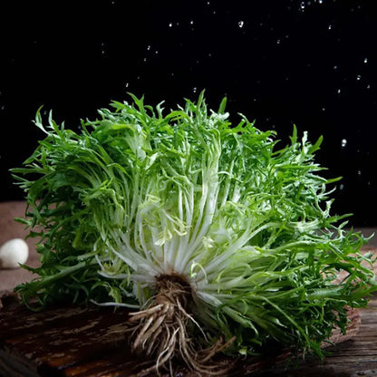 Vegetable Seeds | 10 Grams Per Bag