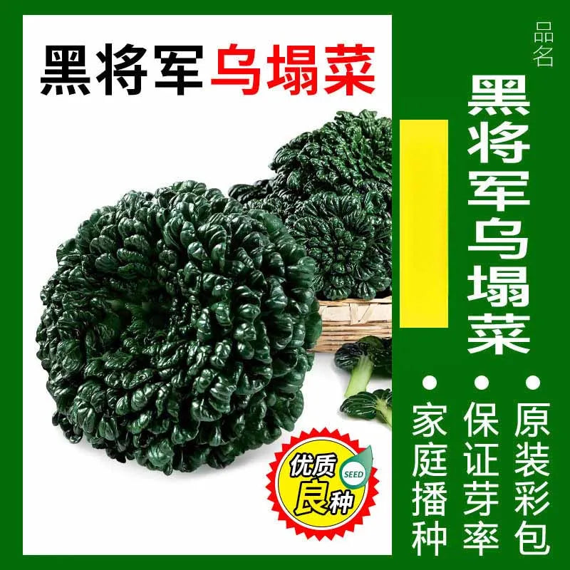 Vegetable Seeds | 10 Grams Per Bag