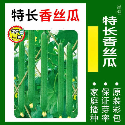 Vegetable Seeds | 10 Grams Per Bag