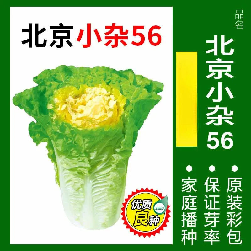 Vegetable Seeds | 10 Grams Per Bag