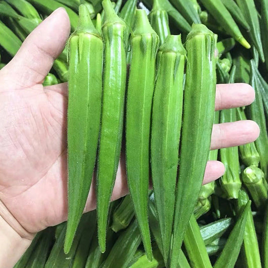 Okra Seeds | 90pcs Per Bag