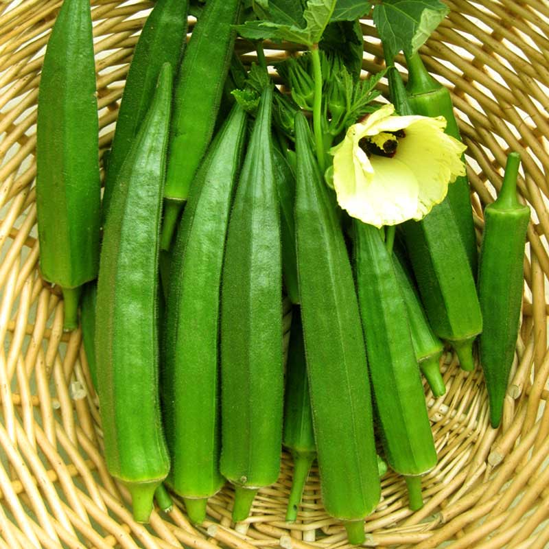 Okra Seeds | 5 grams Per Bag (approximately 90 grains)