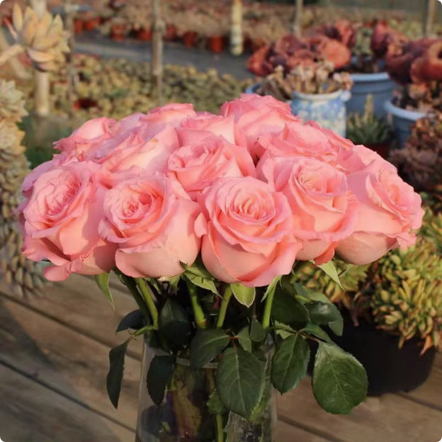 Rose flower seeds | 200 Pcs per Pack