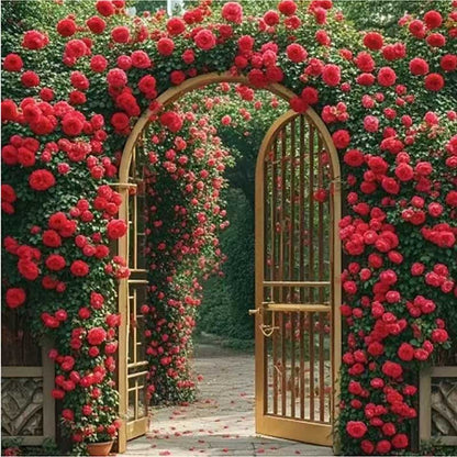 Climbing Rose Seed | 500 Pcs per Pack