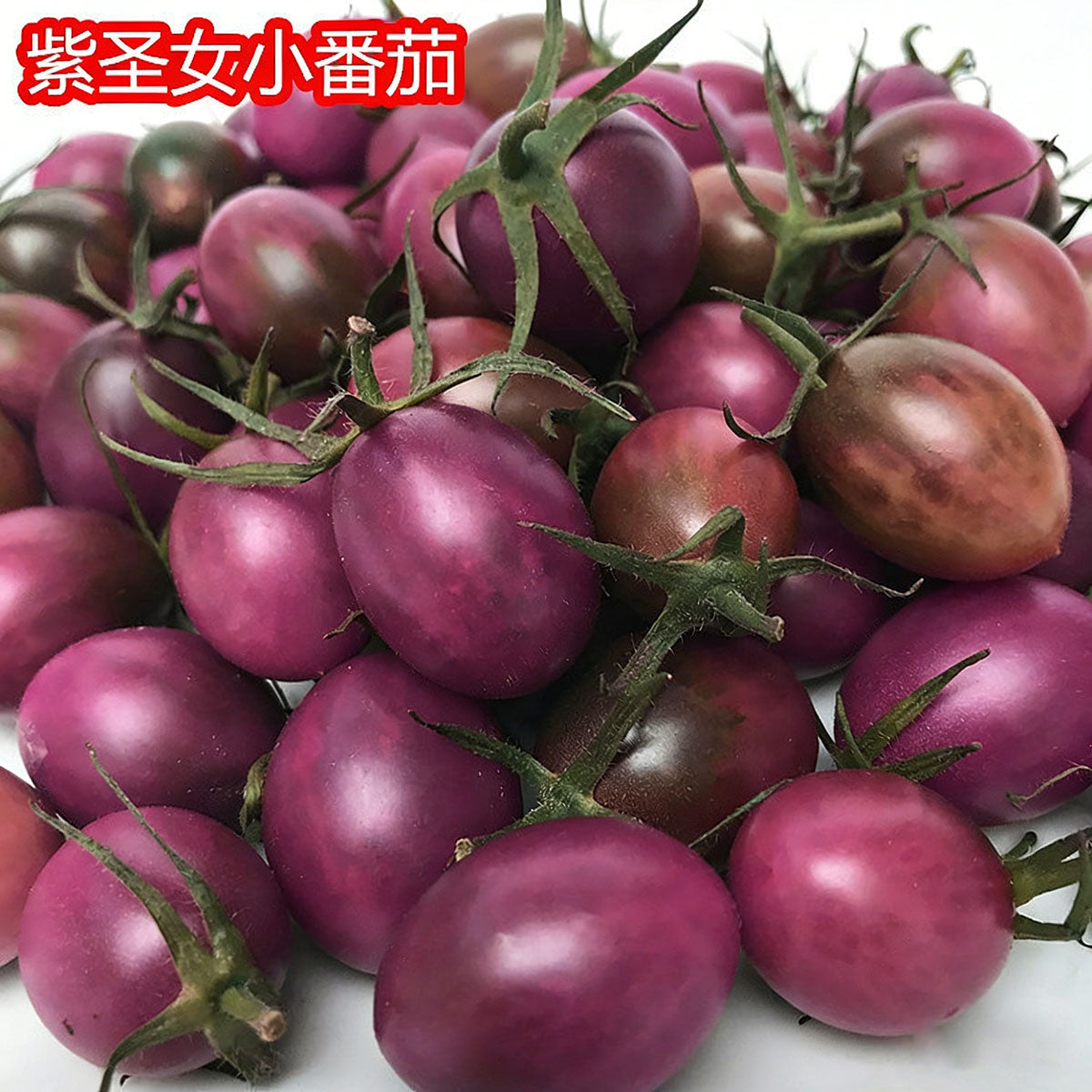 Tomato seeds | 50-200 Pcs per Pack