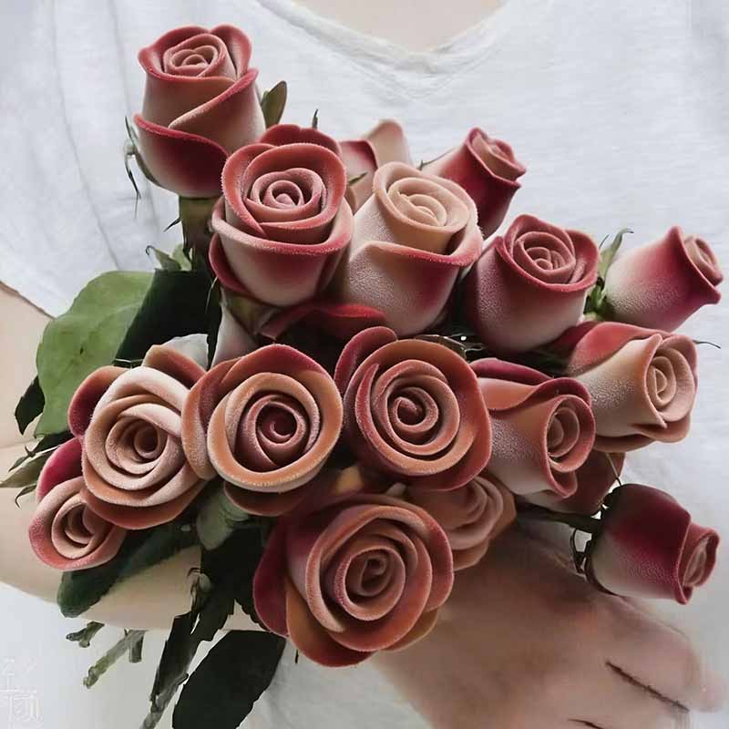 Rose flower Seeds | 500pcs Per Bag
