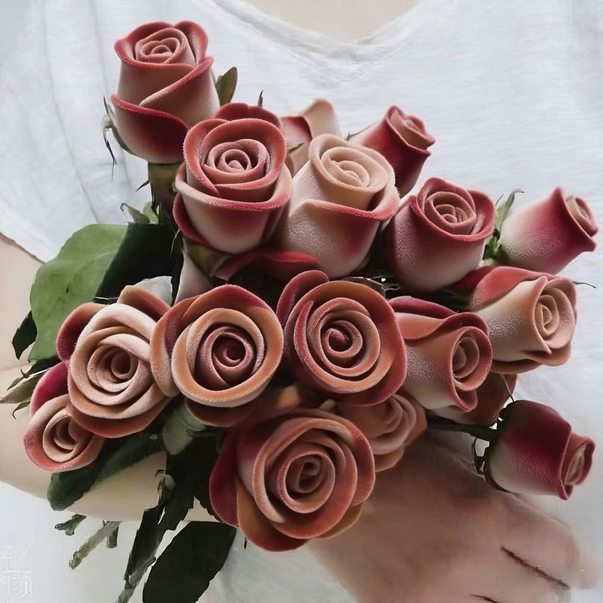 Rose flower seeds | 200 Pcs per Pack